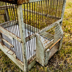 Large Vintage Metal & Wood Arched-Top Birdcage