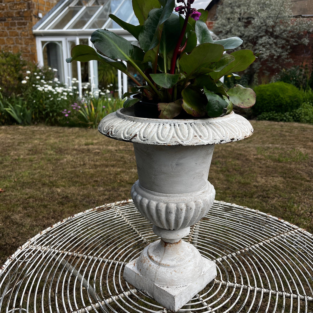 Large White Vintage Cast Iron Urn Planter with Pedestal Base