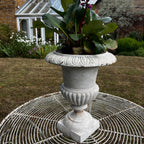 Large White Vintage Cast Iron Urn Planter with Pedestal Base