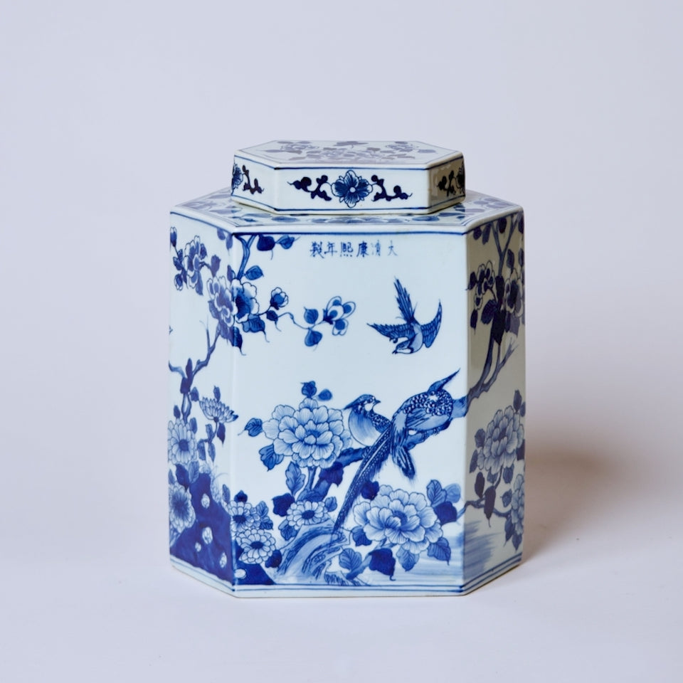 Large Hexagonal Bird Jar