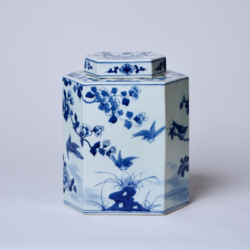 Large Hexagonal Bird Jar