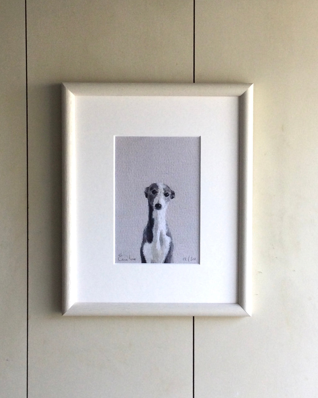 Little Grey Whippet