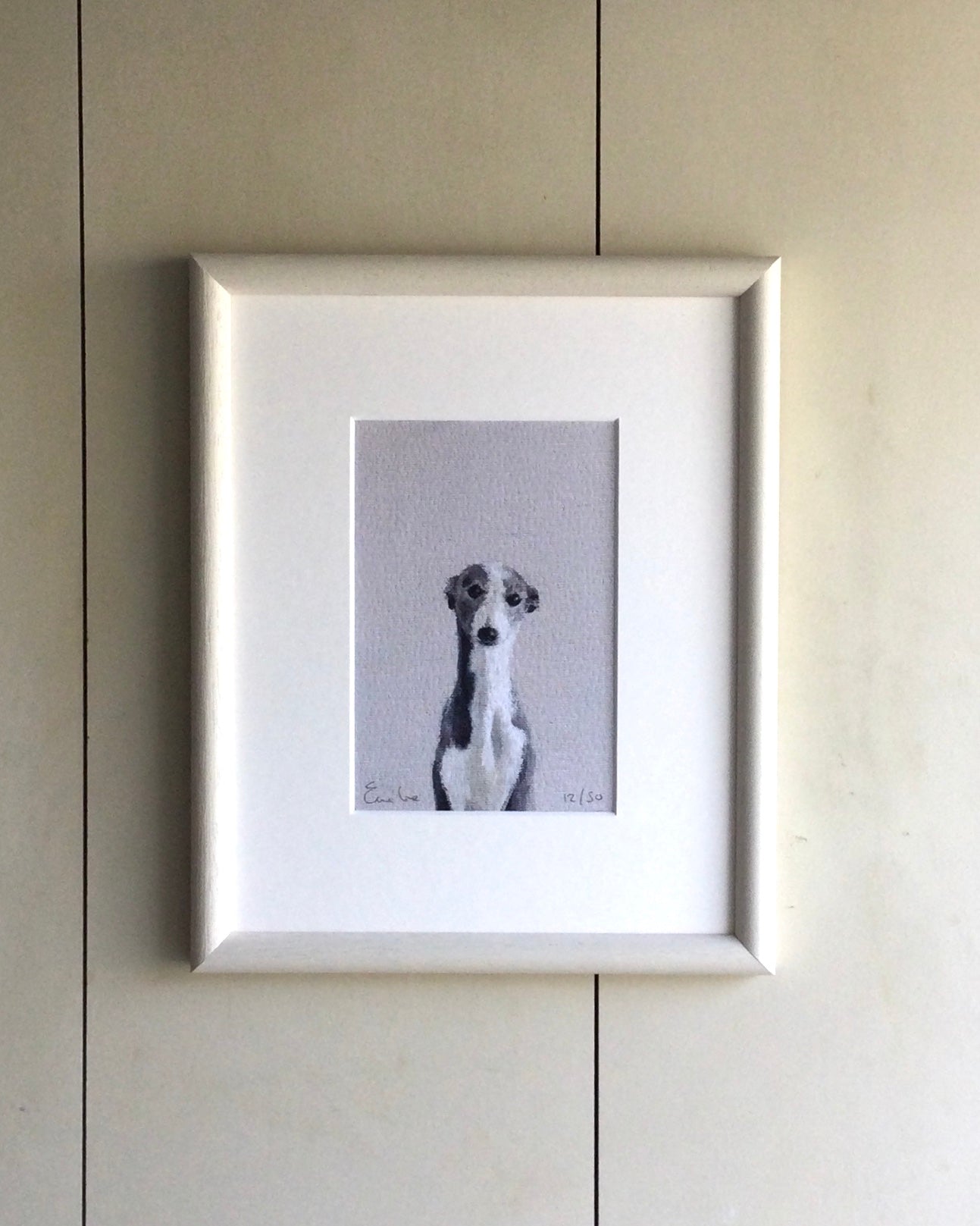 Little Grey Whippet