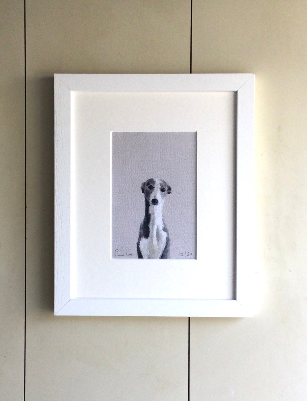 Little Grey Whippet