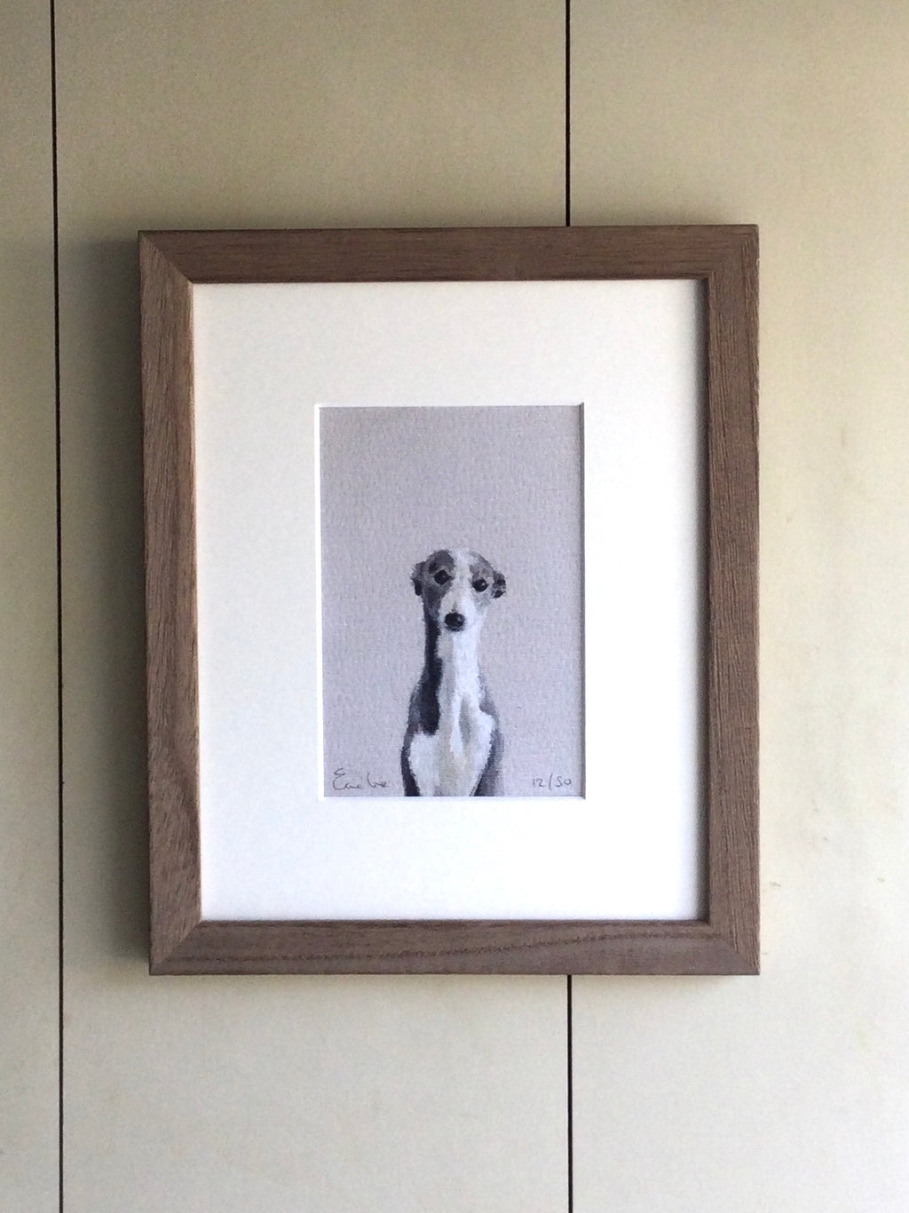 Little Grey Whippet