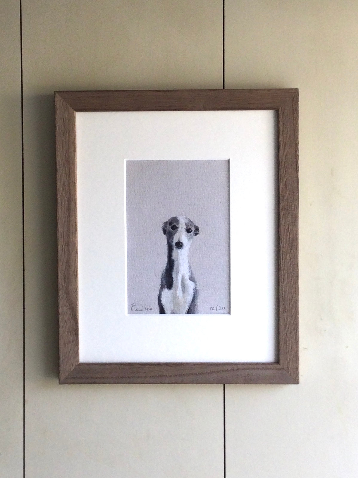 Little Grey Whippet