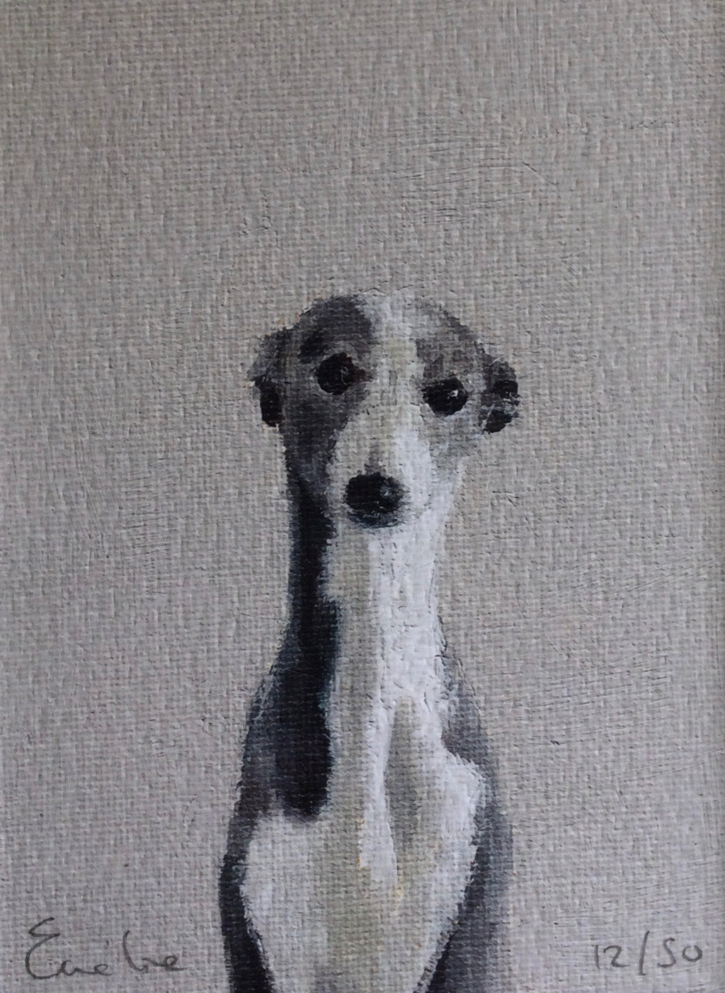 Little Grey Whippet