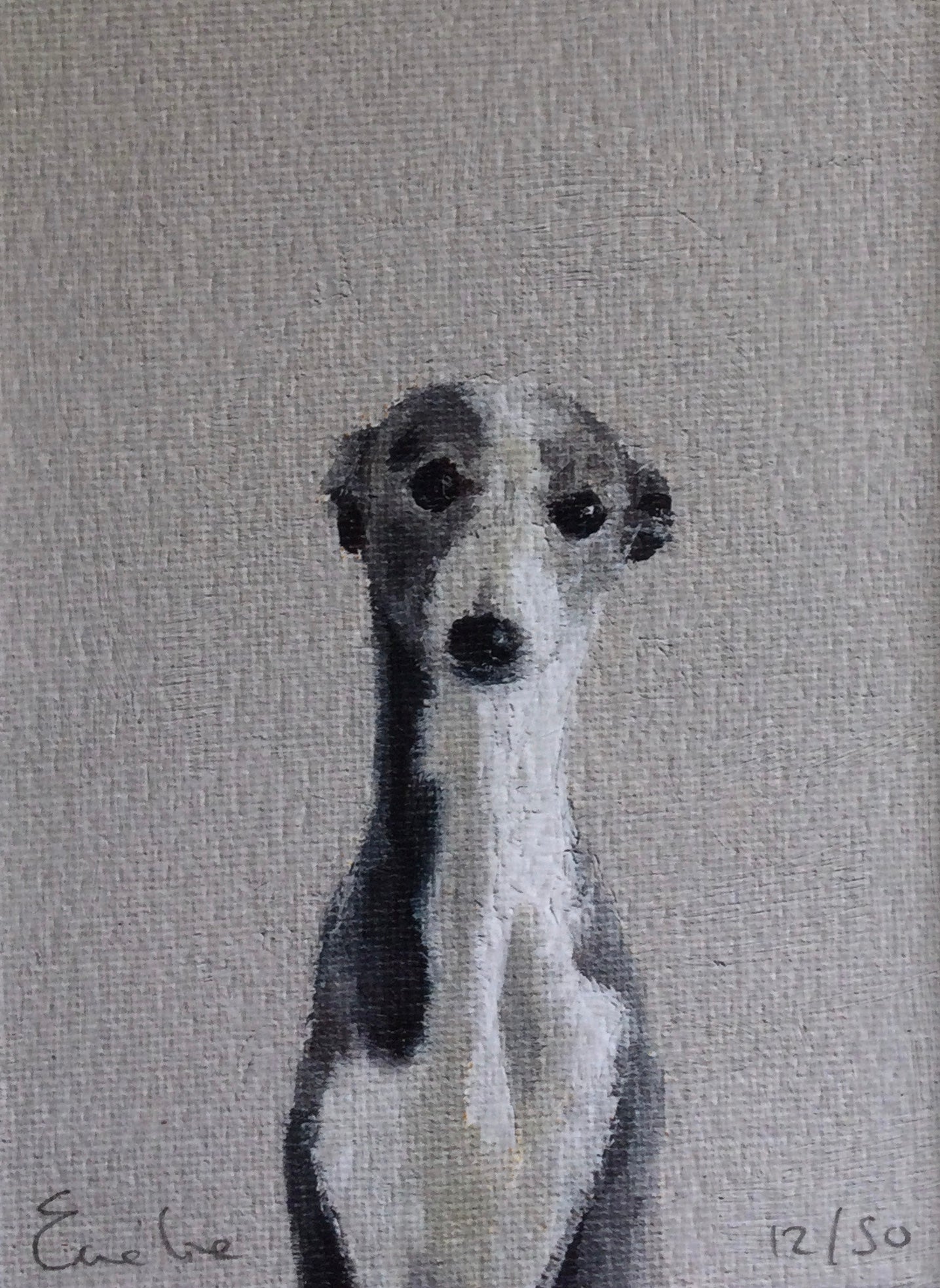 Little Grey Whippet