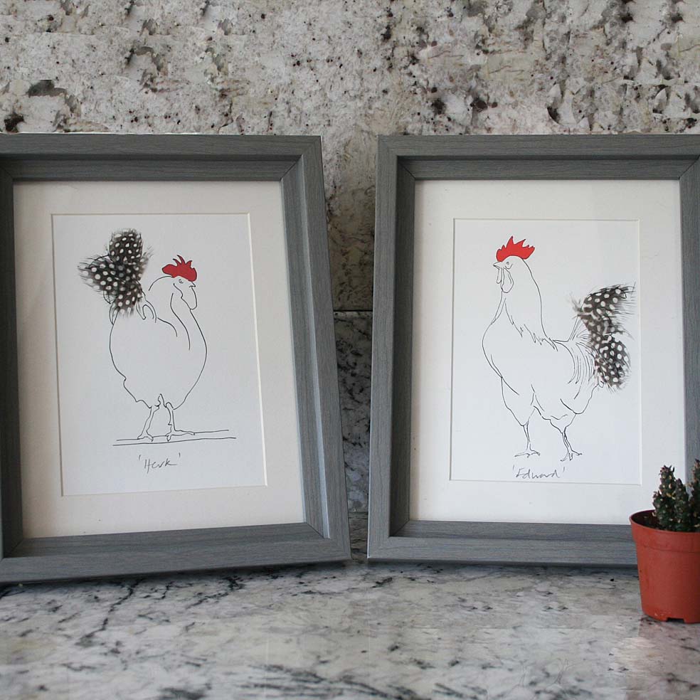 Herk Cockerel Mini Print