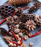 Natural Table Top & Wreath Decorations - AUTUMN