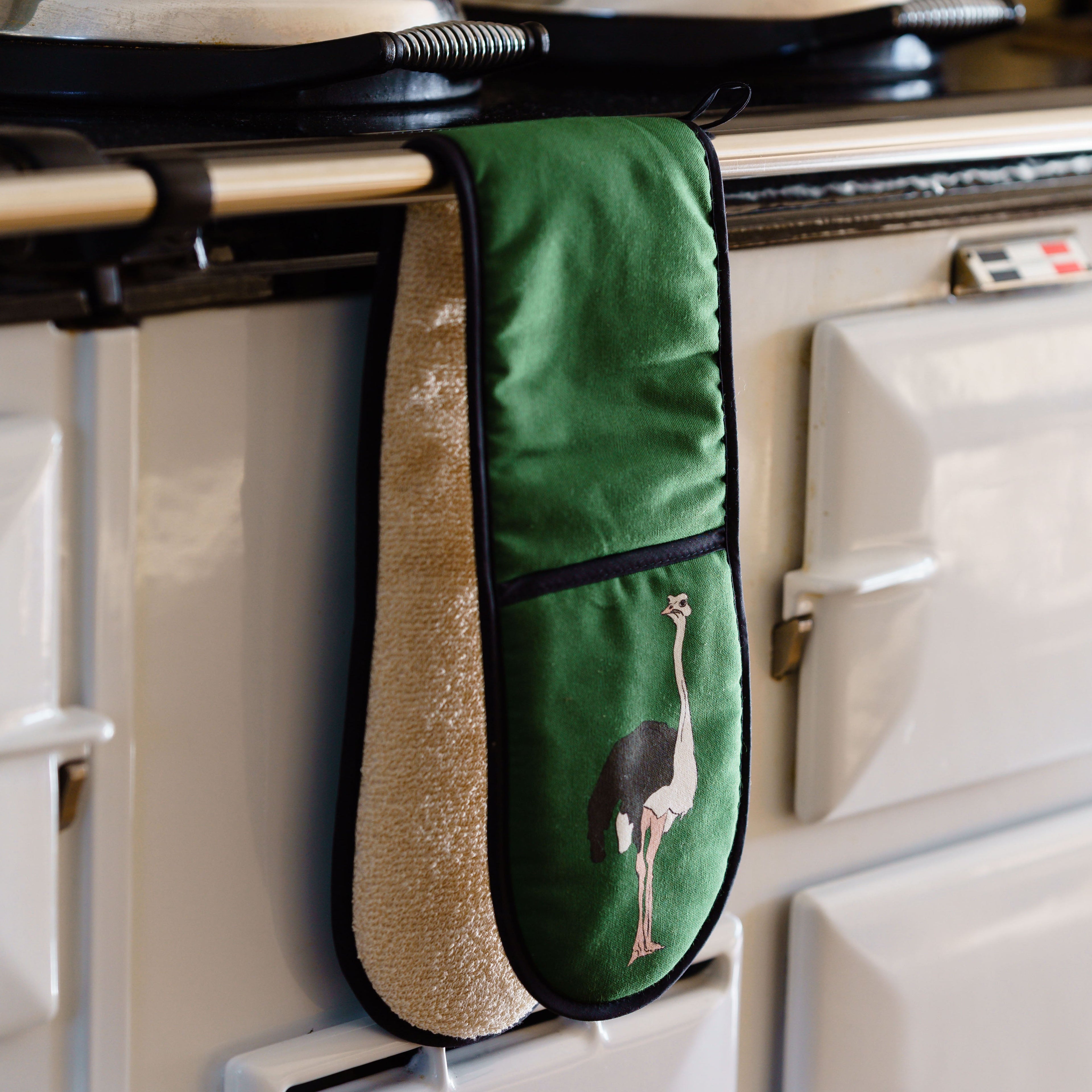 Ostrich Oven Gloves