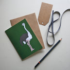 Ostrich Green Card