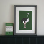Ostrich Giclée Print