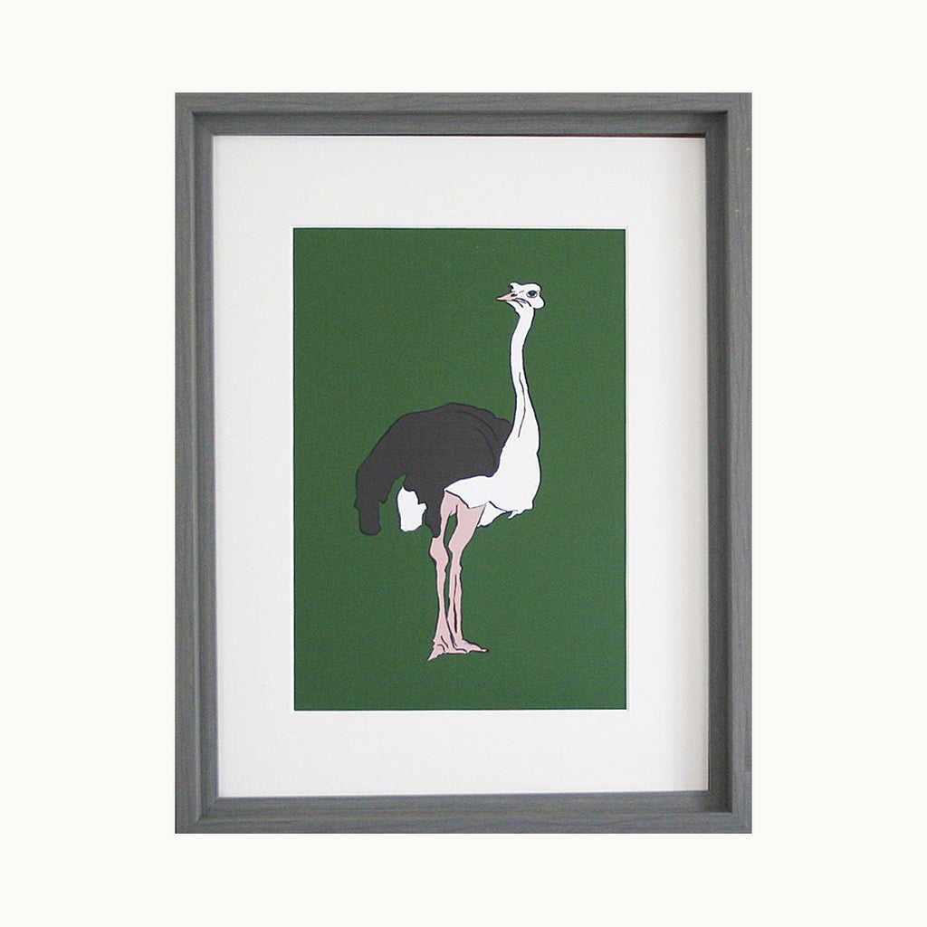 Ostrich Giclée Print