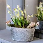 Oval Zinc Planter With Wooden Handles - Set Of 2