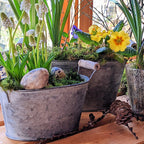 Oval Zinc Planter With Wooden Handles - Set Of 2