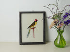 PARROT Indian glass painting (Copy)