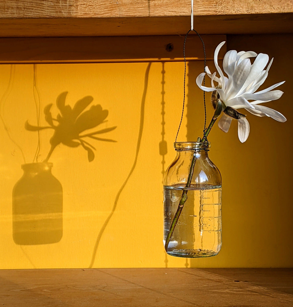Wooden Tray With 5 Glass Bottle Bud Vases