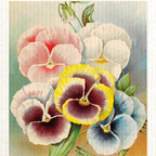 Swedish Sponge Cleaning Cloth | Assorted Floral & Botanical Designs