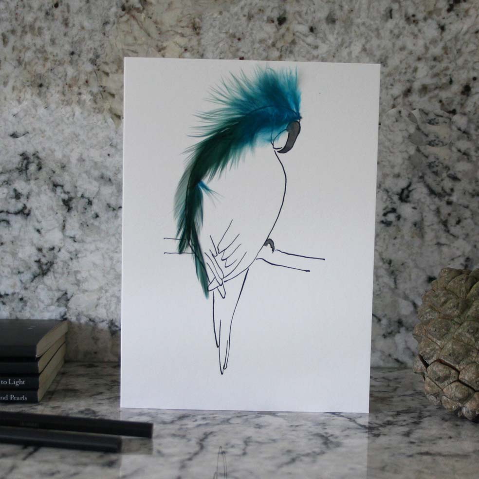 Parrot Cards