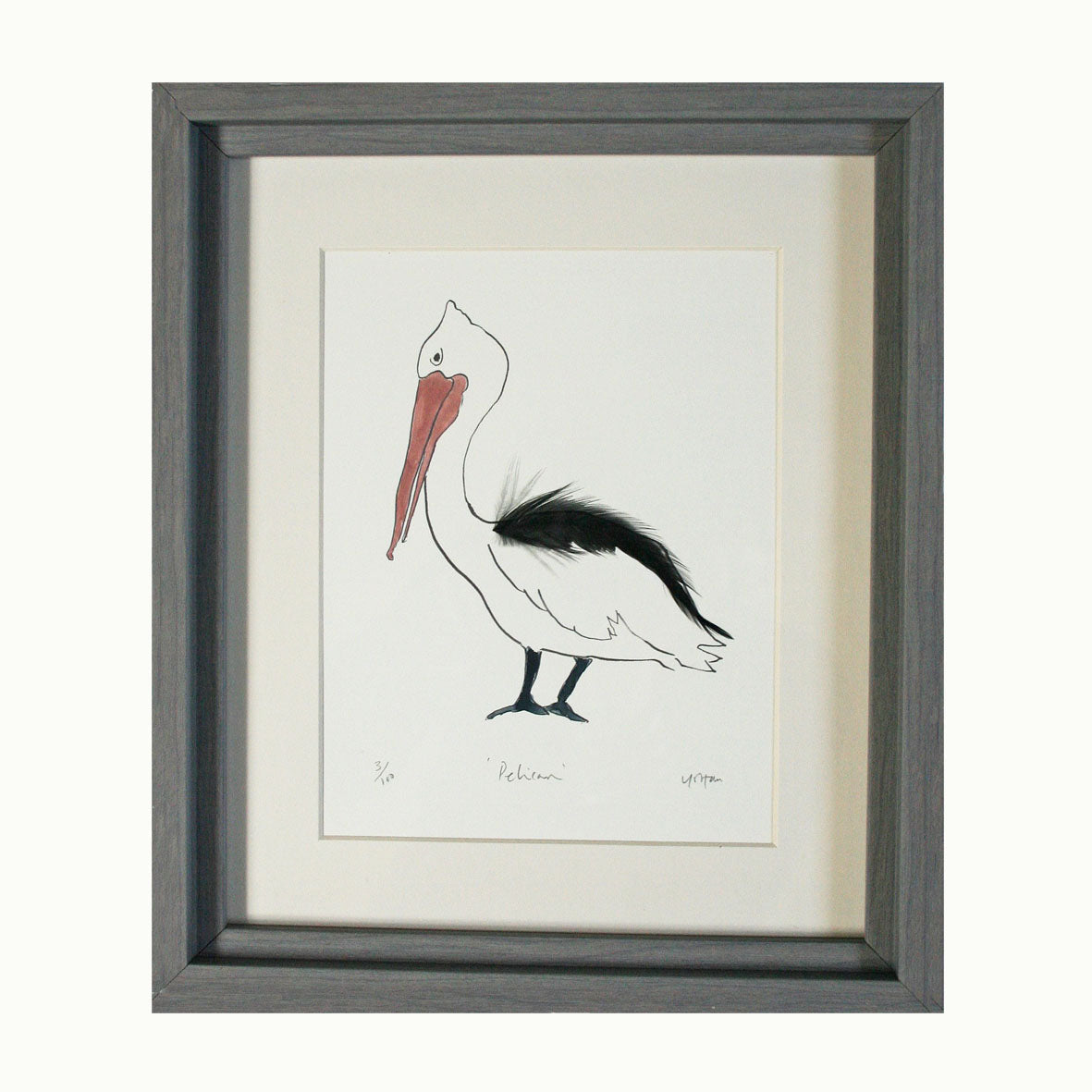 Pelican Feather Print