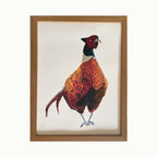 Pheasant Giclée Print