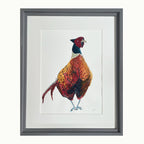 Pheasant Original Watercolour