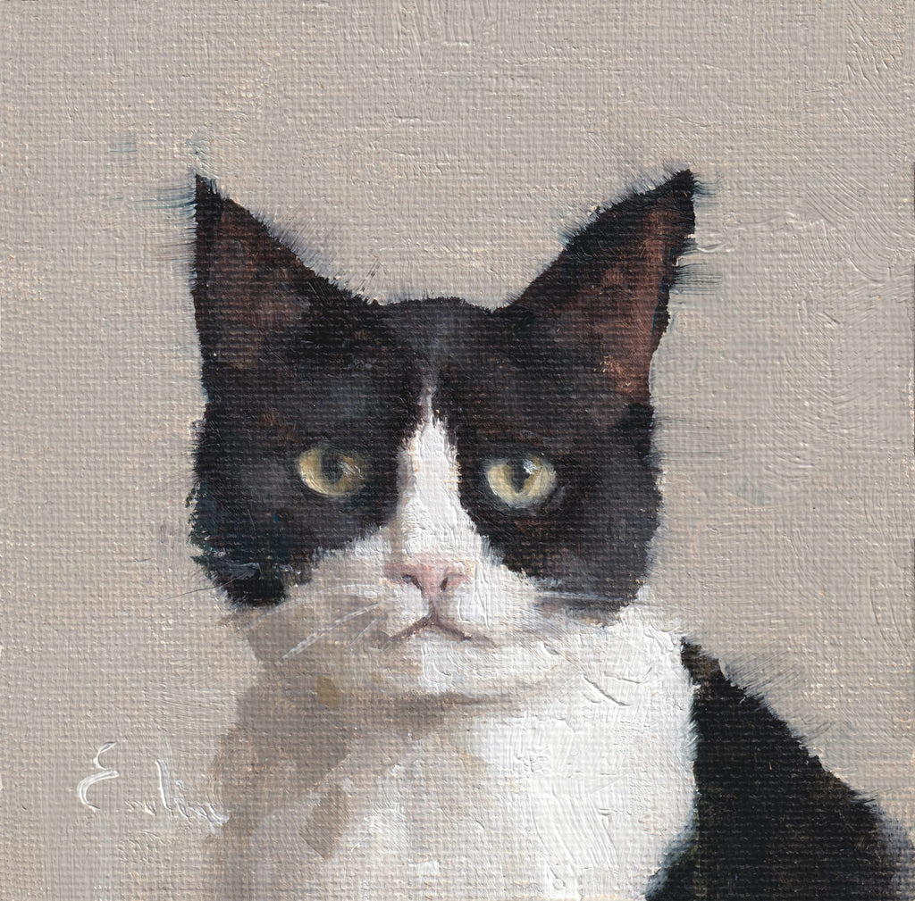 Pack of 3 Cat Cards