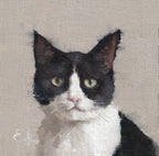 Pack of 3 Cat Cards