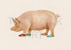 PIGGIE IN TRAINERS