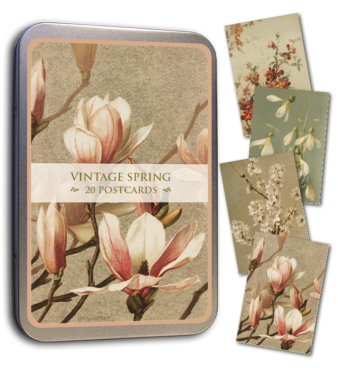 20 Postcard In A Tin | Vintage Spring