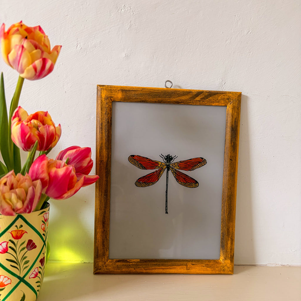 RED DRAGONFLY Indian glass painting