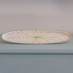 Potterswork Tilly Plate - Sage and Pink