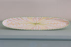 Potterswork Alice Plate - Sage and Pink