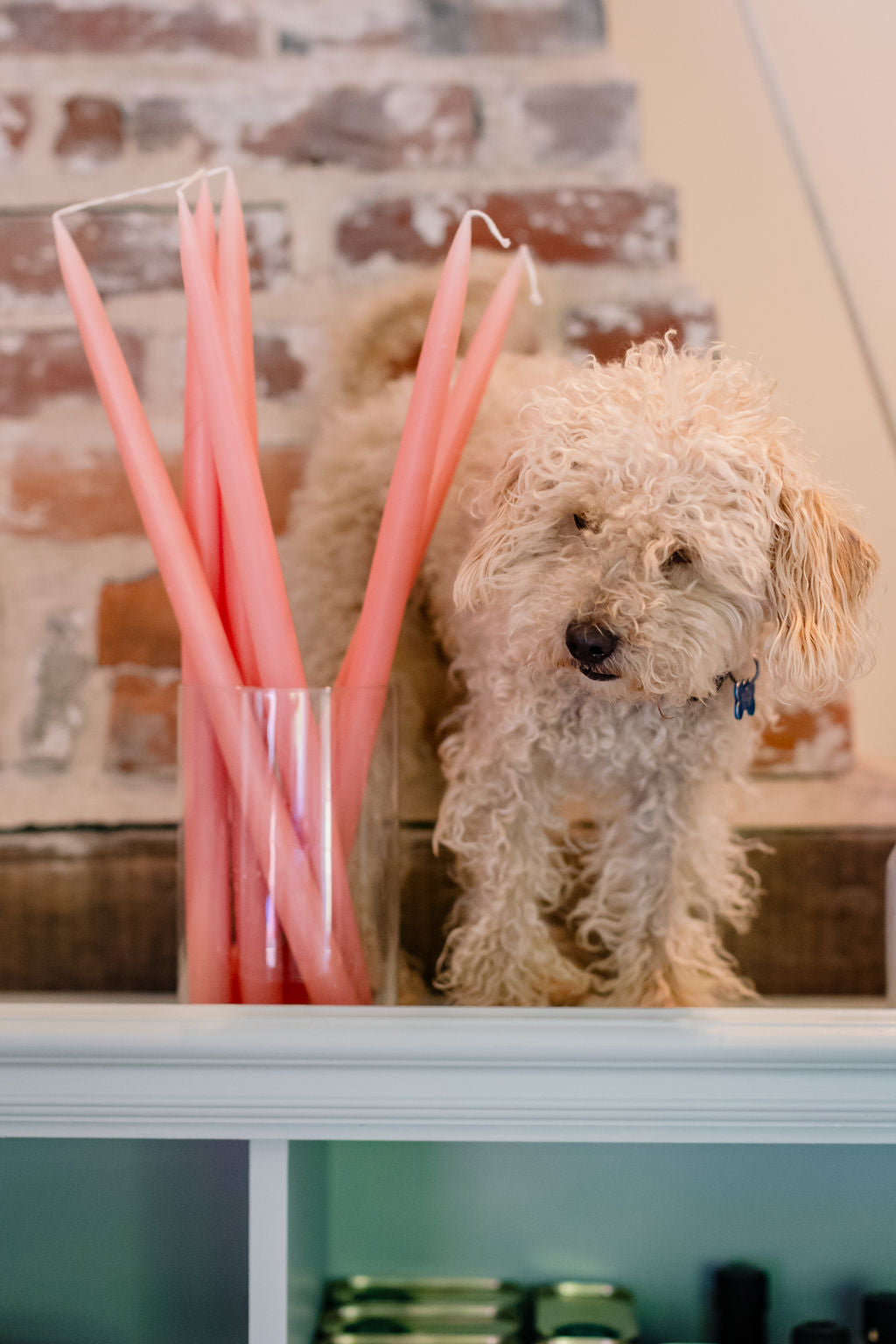 Vintage Pink -  Tapered Dinner Candles
