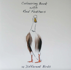Colouring book with feathers