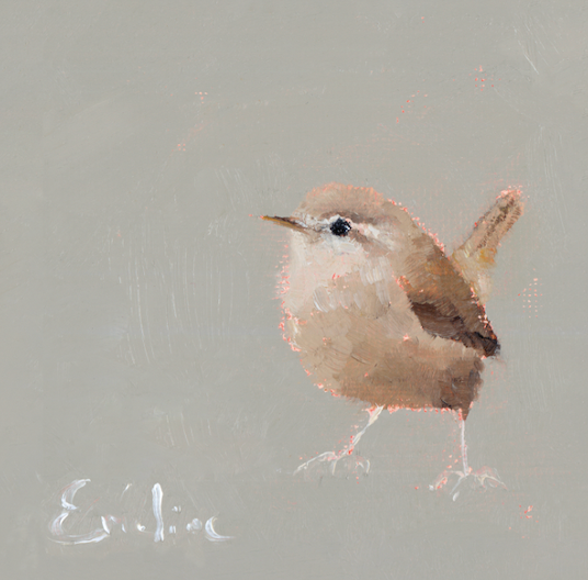 Pack of Small Bird Cards