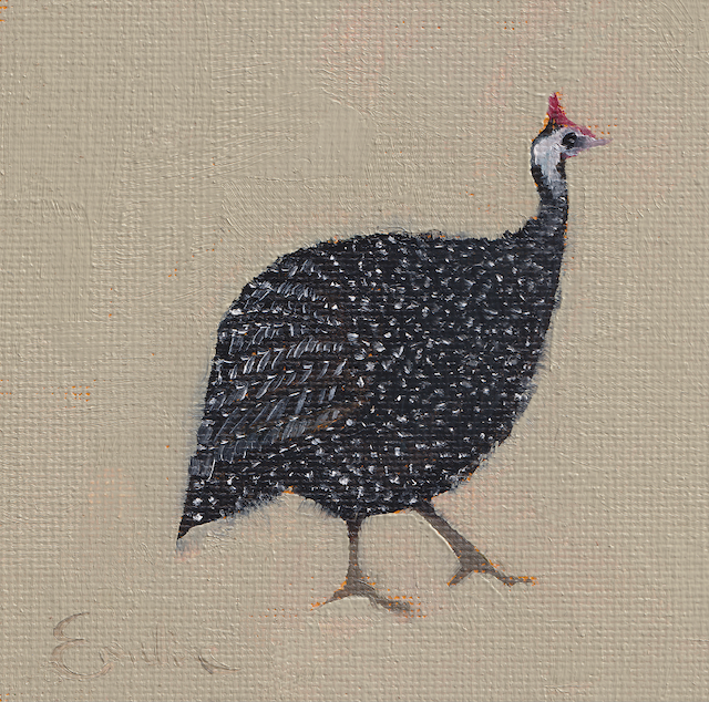 Pack of Small Bird Cards