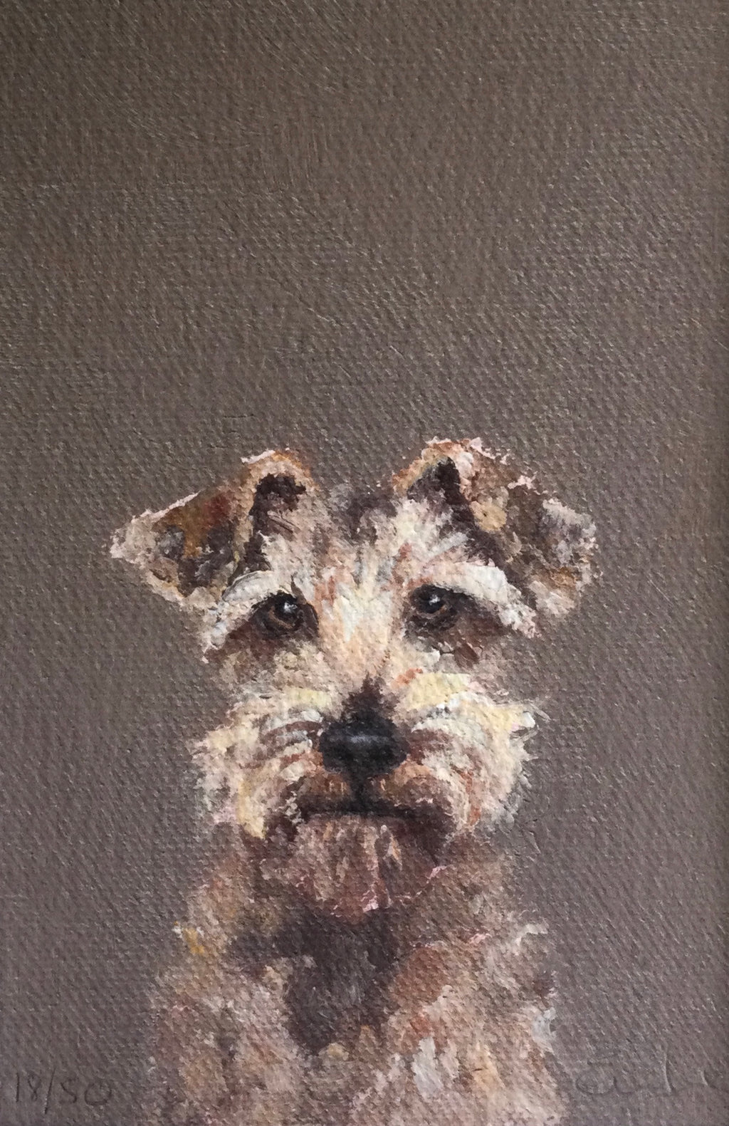 Shaggy Dog