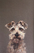 Shaggy Dog