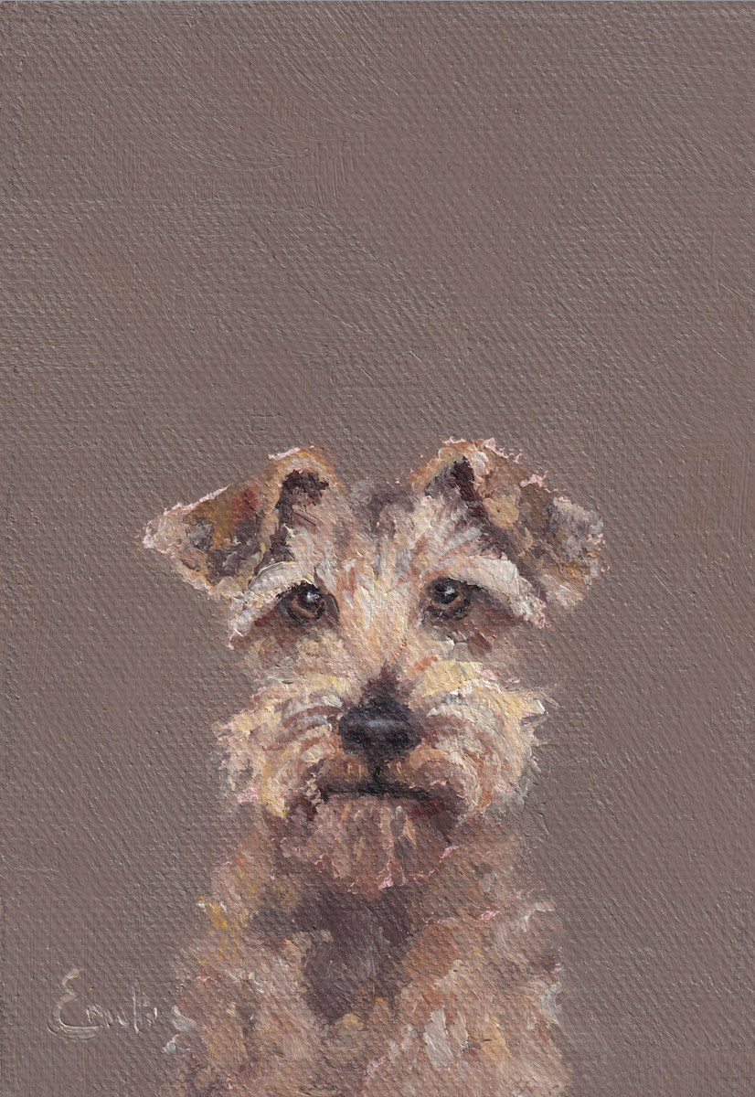 Pack of 4 Doggie Greetings Cards