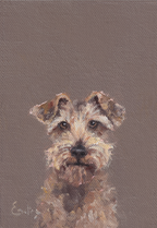 Pack of 4 Doggie Greetings Cards