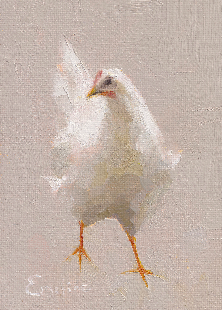 Pack of 4 Chicken Cards