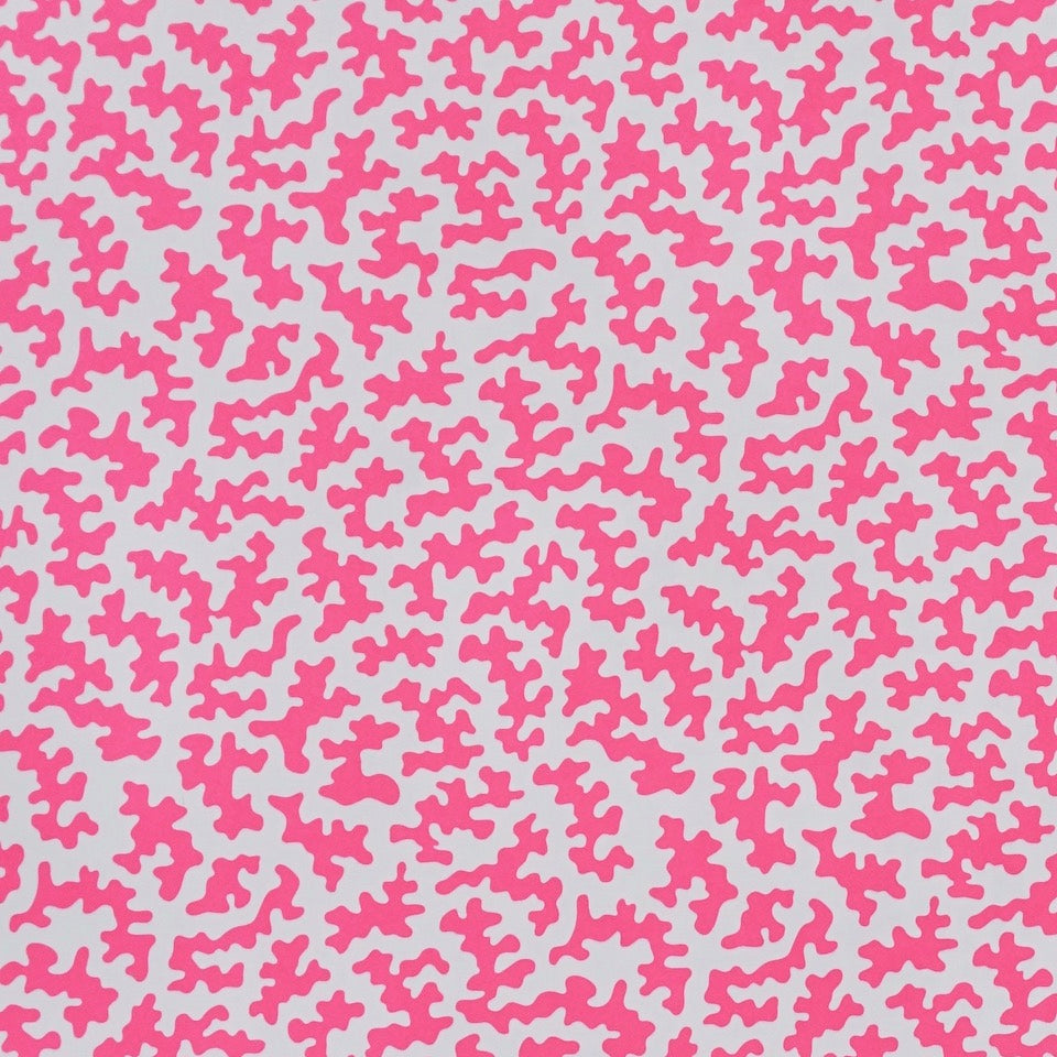 Squiggle Wrapping Paper