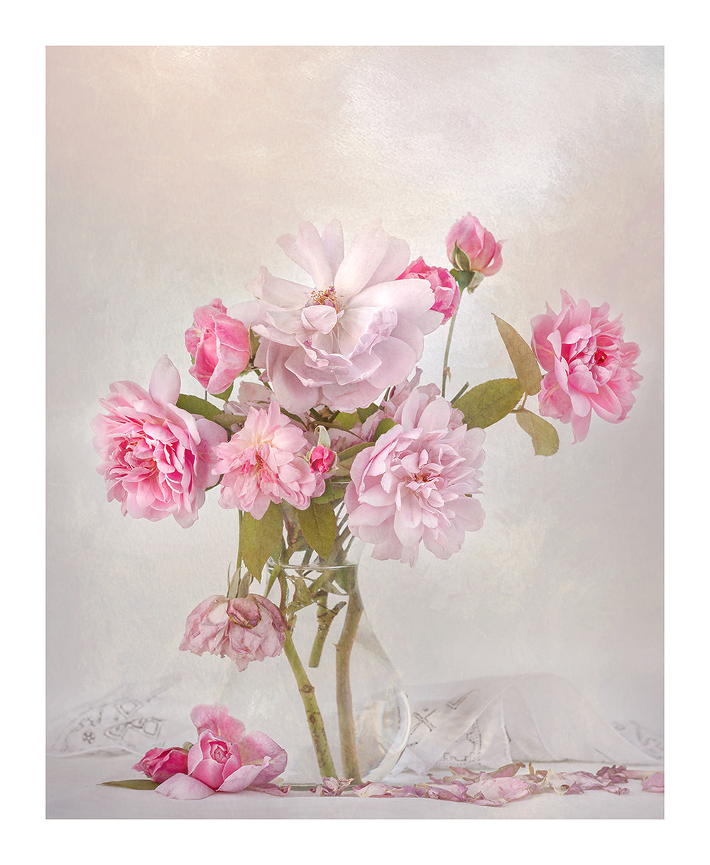 Antique Pink Roses and Linen