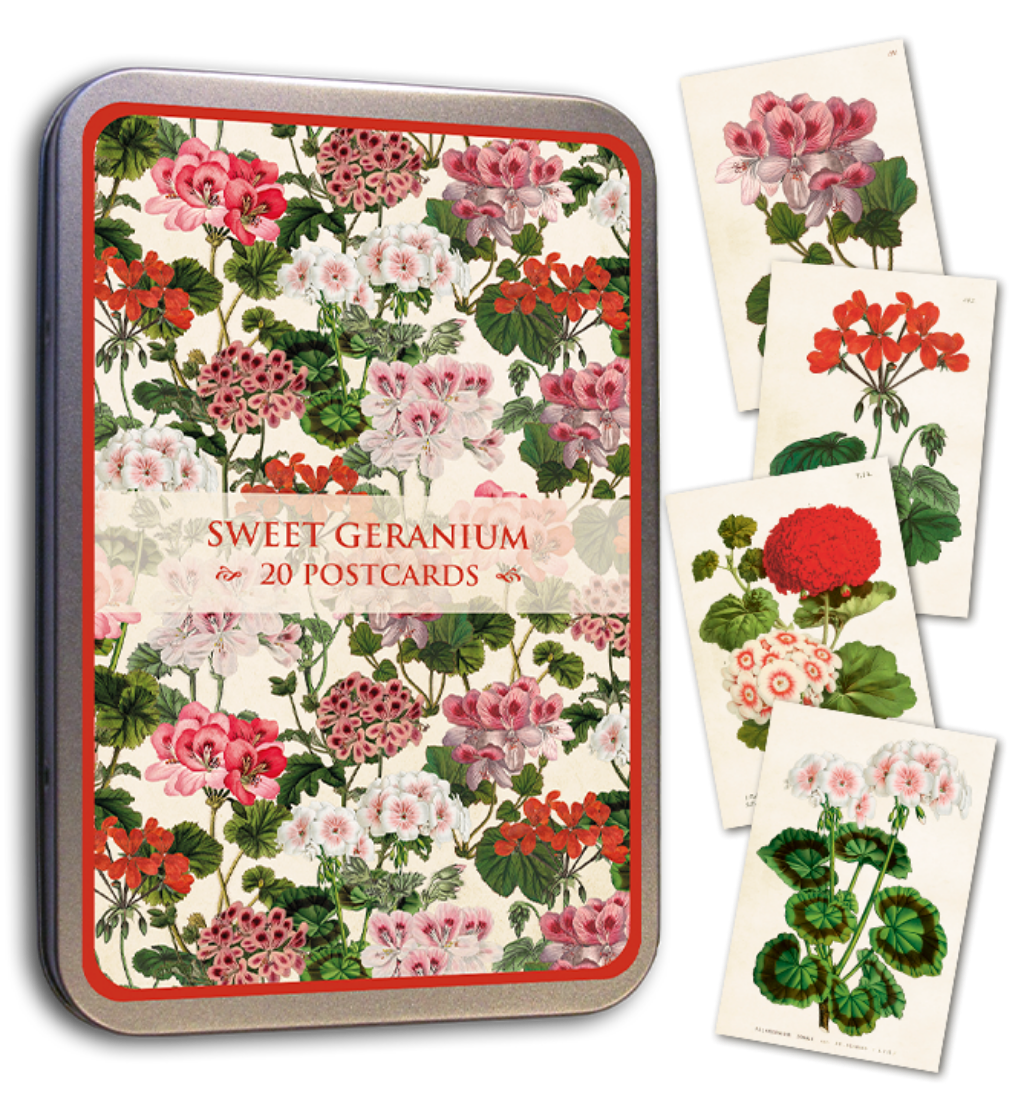 20 Postcard In A Tin | Sweet Geranium