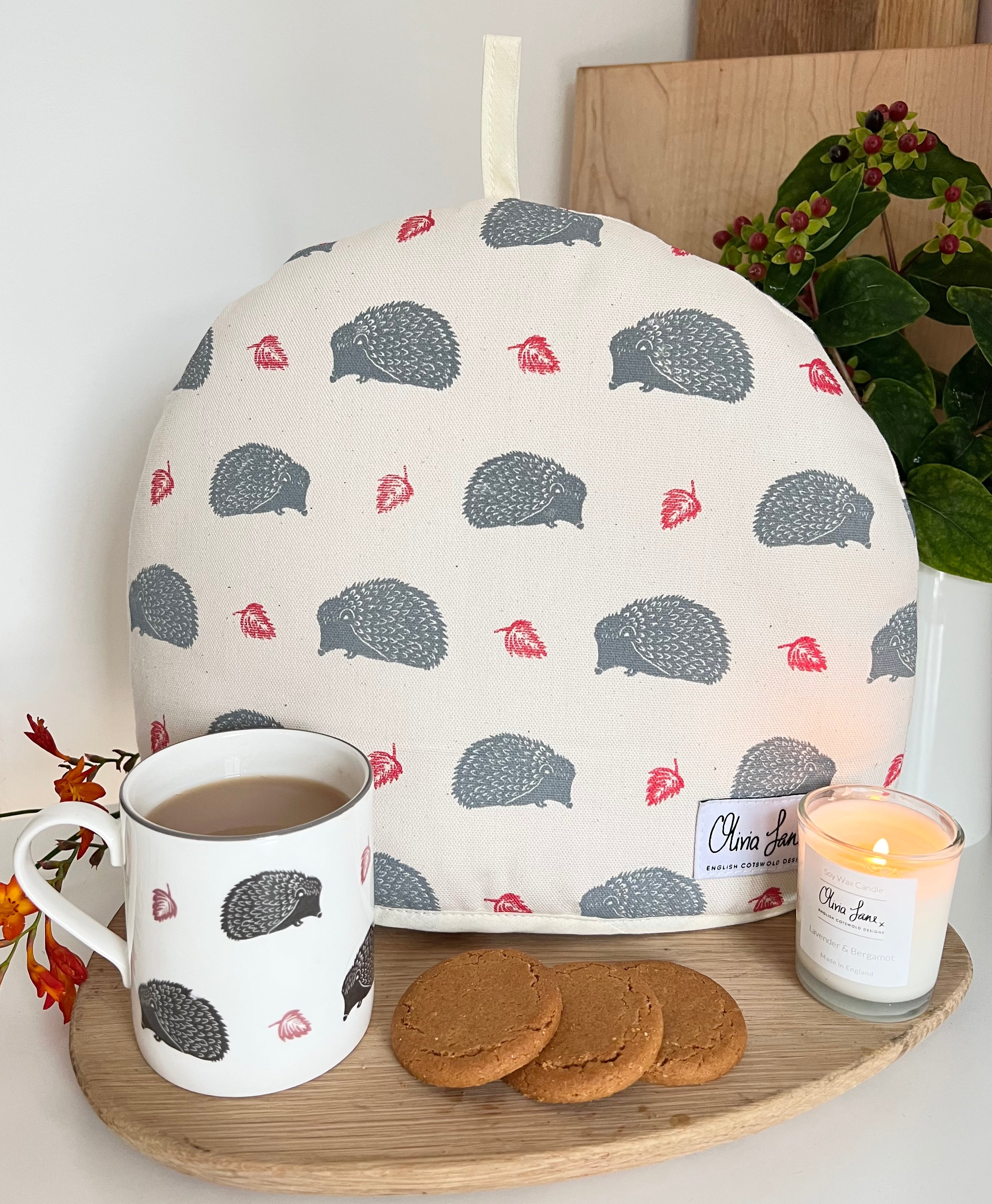 Tea Cosy 'Snuffling Along' Hedgehog