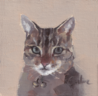 Pack of 3 Cat Cards