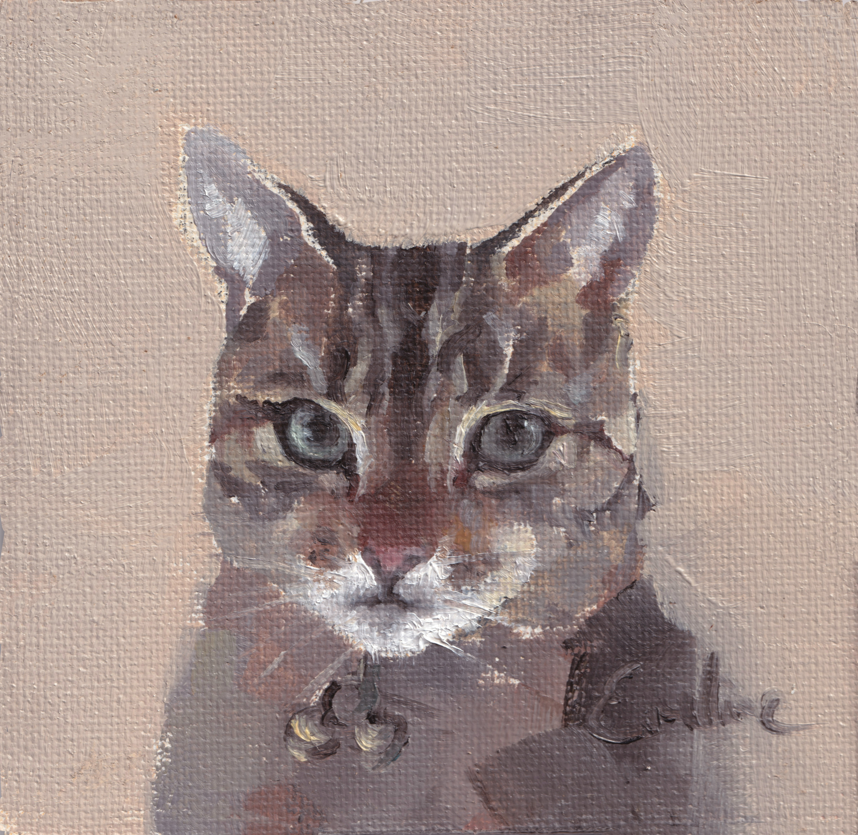 Pack of 3 Cat Cards