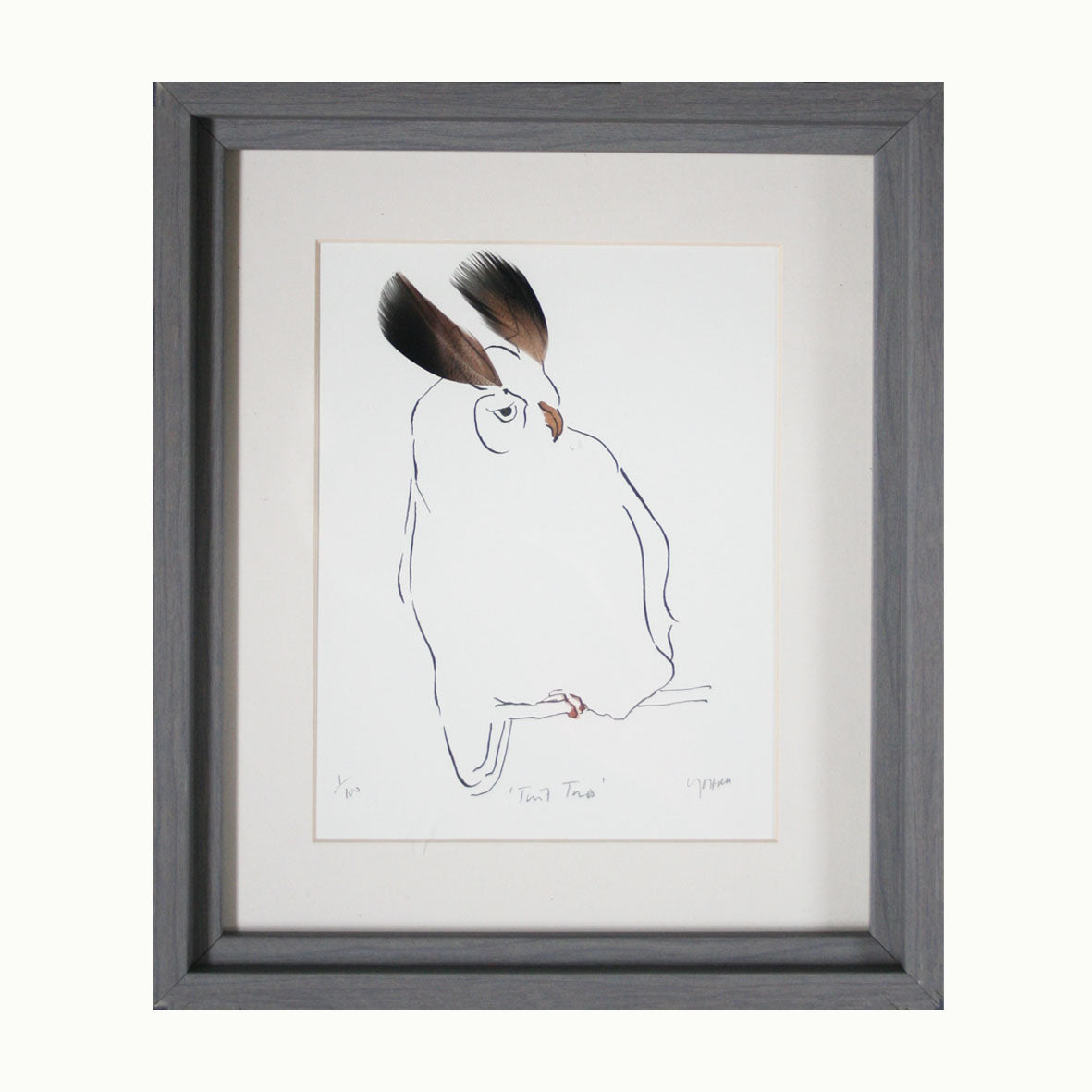 Owl Print 'Twit Twoo'